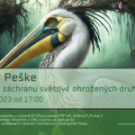 Lubomír Peške: Projekty na záchranu světově ohrožených druhů ptáků (10. března 2023, živě Viničná 7, PřF UK)