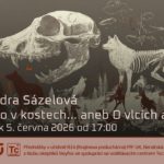 Sandra Sázelová: Je to v kostech... aneb o vlcích a lidech (5. června 2026 – Živě Benátská 2, Přírodovědecká fakulta UK, Praha)